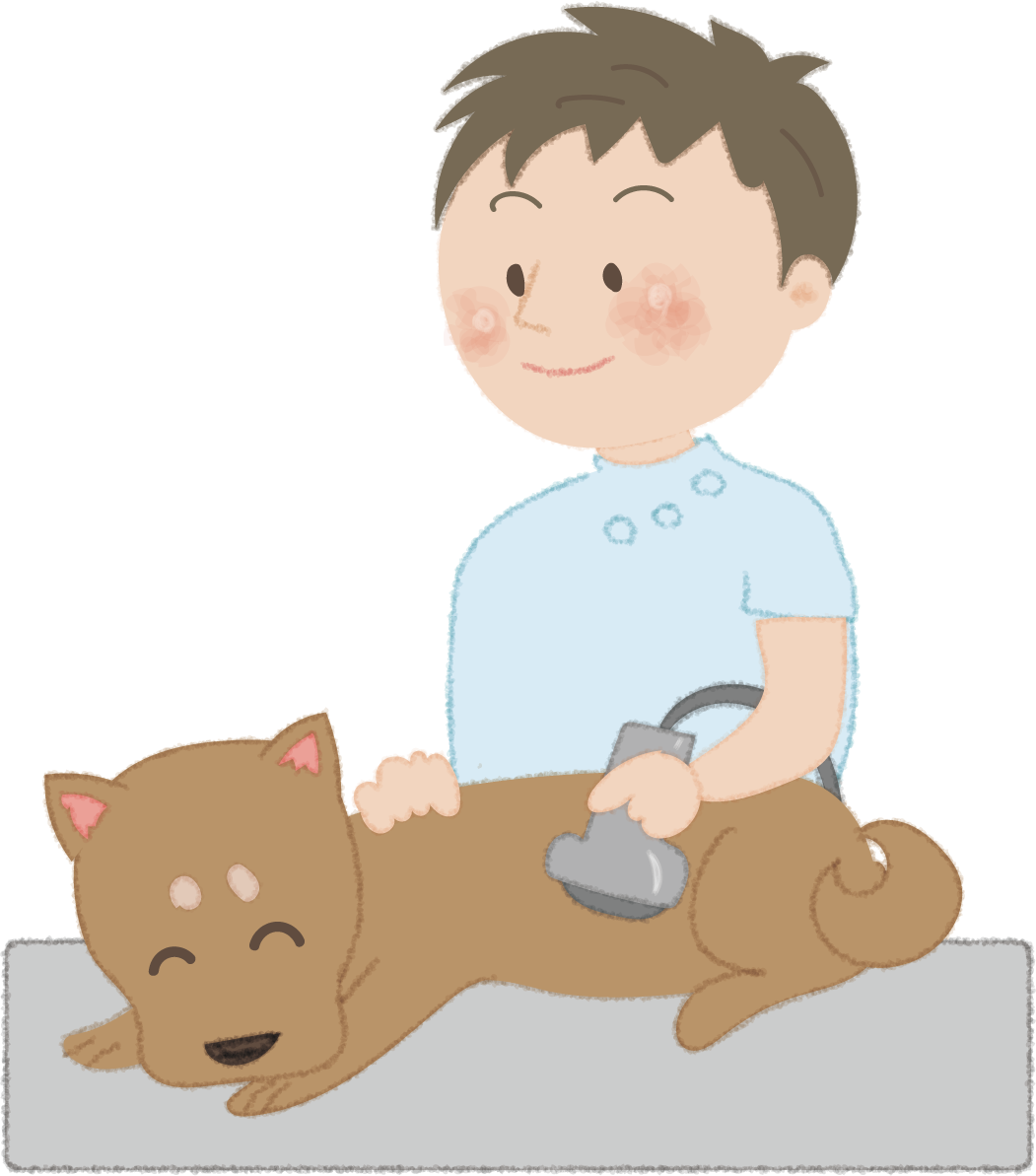 犬を診察台で検査するお医者さん（獣医）無料イラスト52578に写真・文字を入れる