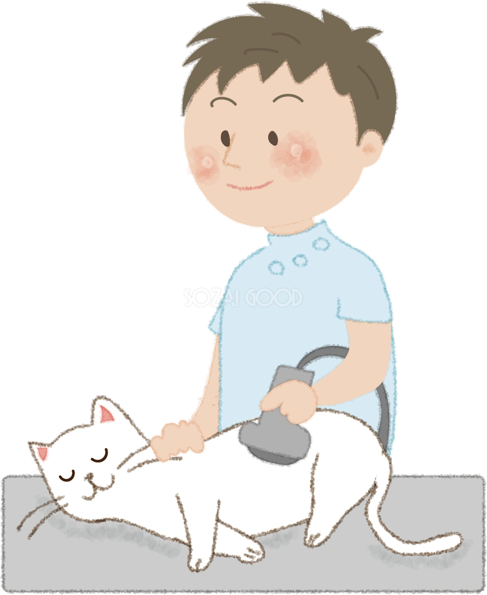 猫を診察台で検査するお医者さん(獣医)無料イラスト52646