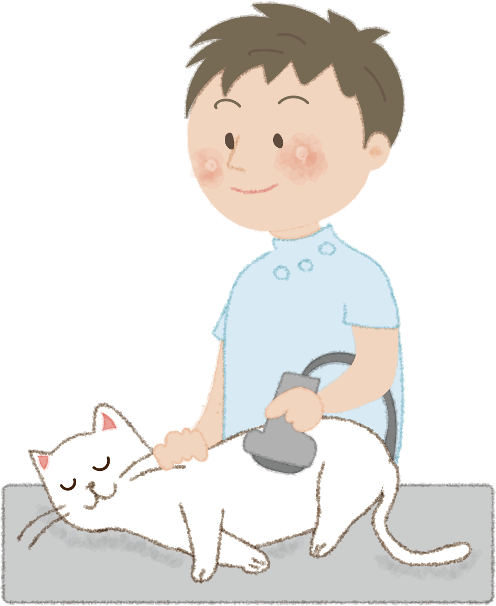 猫を診察台で検査するお医者さん（獣医）無料イラスト52646に写真・文字を入れる