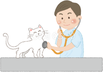 猫を聴診器で診察するお医者さん（獣医）無料イラスト52650