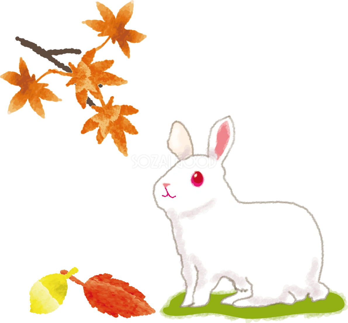 紅葉を眺めるうさぎの無料イラスト／秋52804