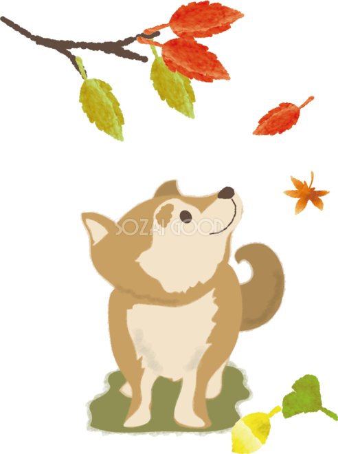 紅葉を眺める犬の無料イラスト／秋52808 | 素材Good