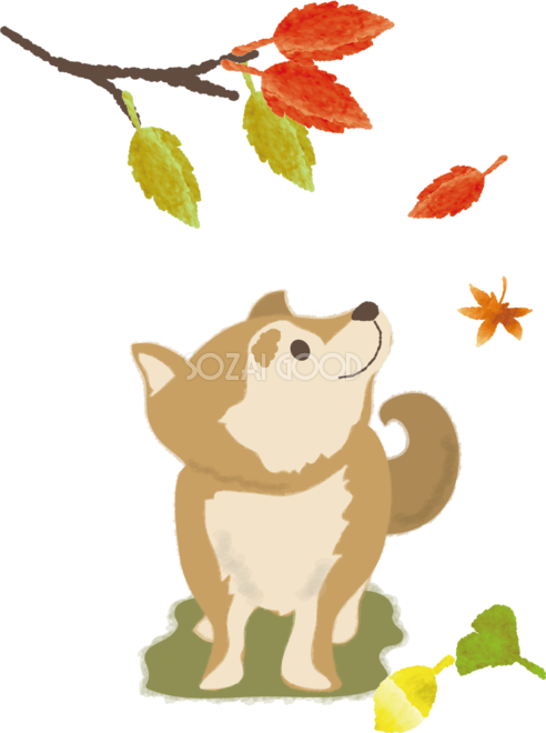 紅葉を眺める犬の無料イラスト 秋 素材good