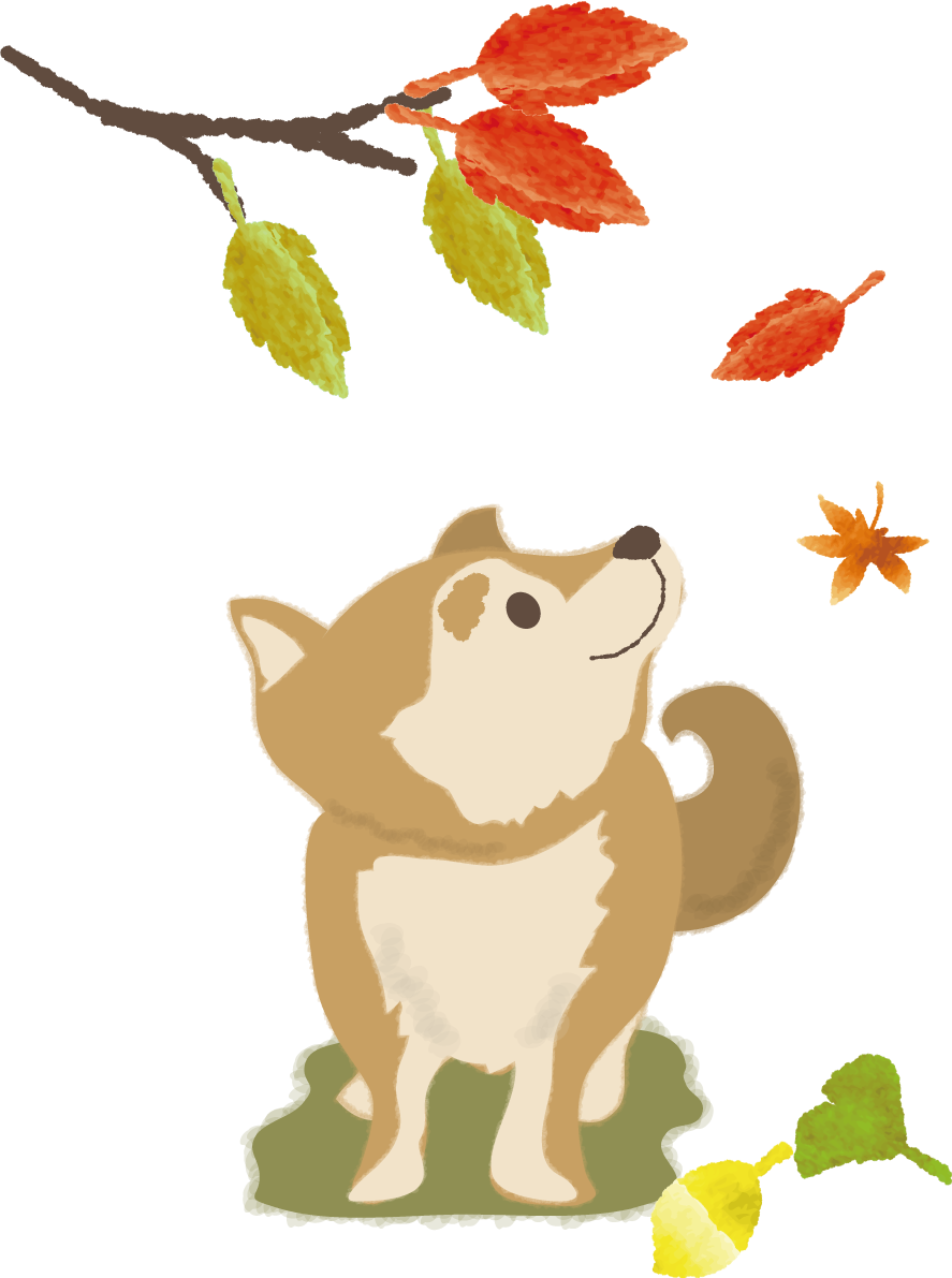 紅葉を眺める犬の無料イラスト／秋52808に写真・文字を入れる