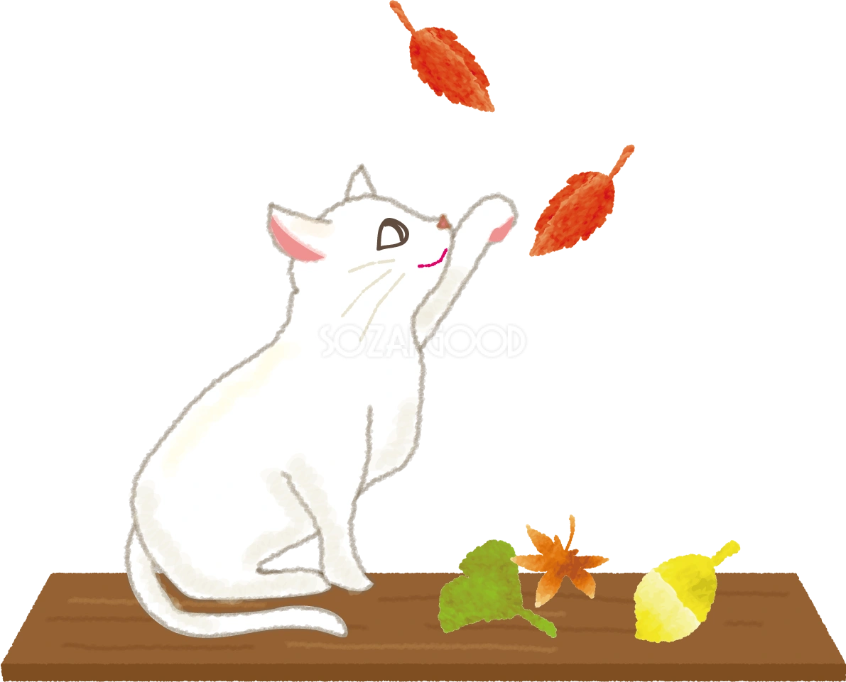 紅葉を眺める猫の無料イラスト/秋52812