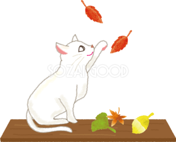 紅葉を眺める猫の無料イラスト／秋52812