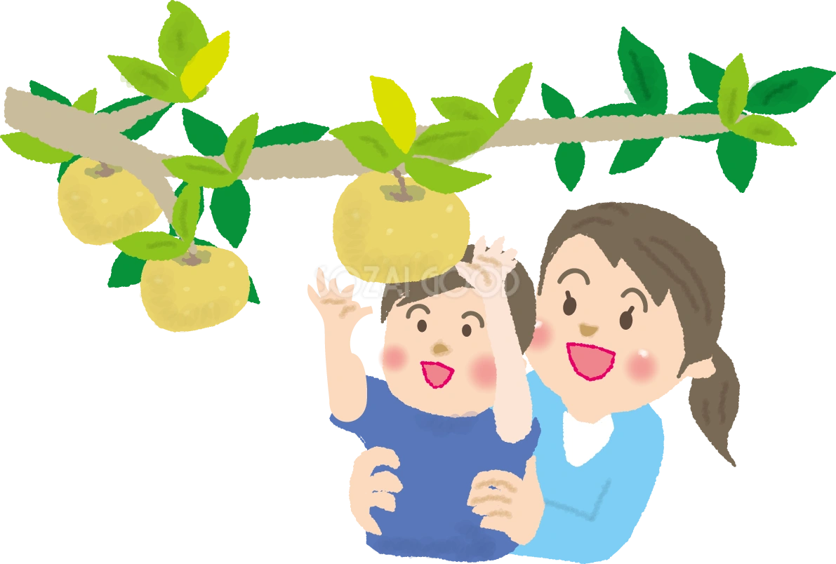 梨狩りをする子どもとお母さん無料イラスト/秋52865