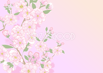 和風(八重桜)の背景無料イラスト画像54125