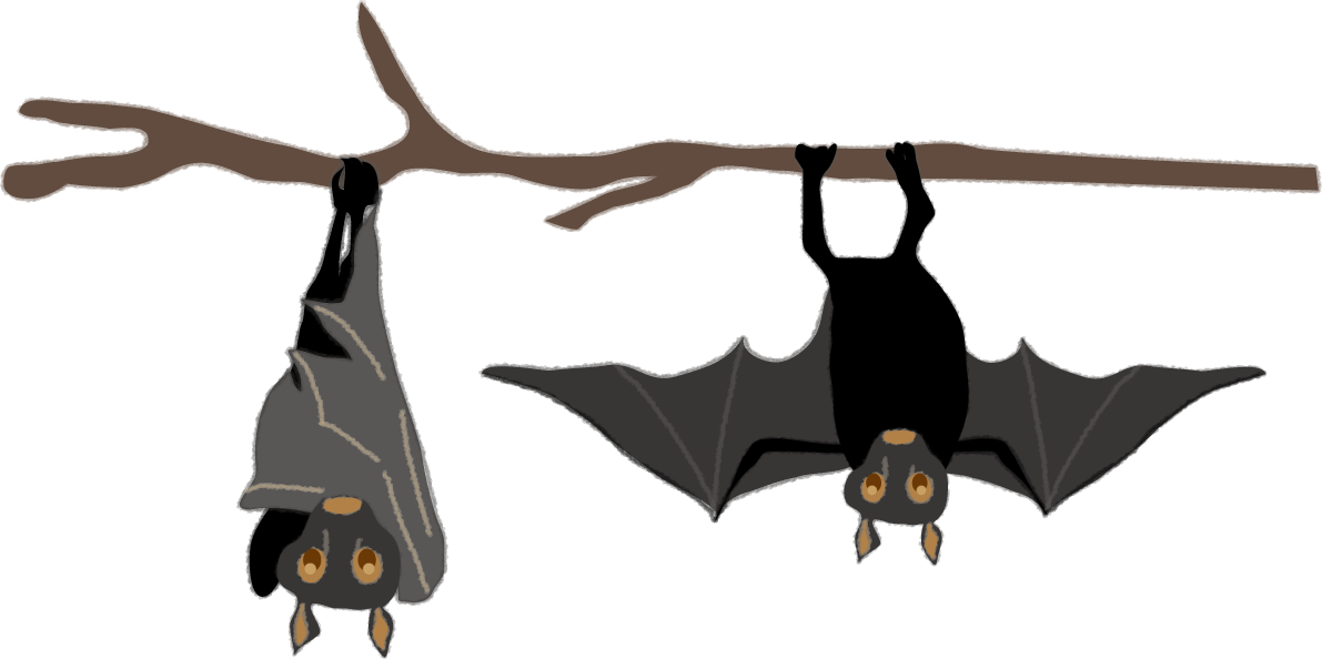 こうもりのシンプルハロウィン(枝に逆さま)無料イラスト55301に写真・文字を入れる