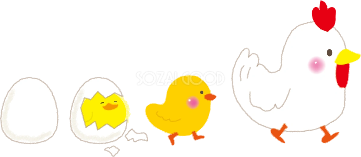 ひよこ~鶏の二足歩行に進化した2017干支の無料イラスト58912
