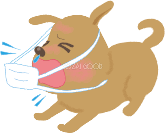 風邪をひいた犬がマスクをつけしくしゃみする無料イラスト 素材good