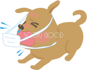 風邪をひいた犬がマスクをつけしくしゃみする無料イラスト61132