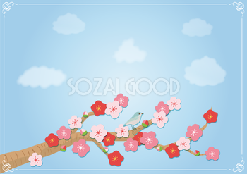 春(桃の木と空)背景無料イラスト62334
