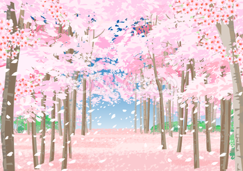 リアルな桜並木のトンネル桜じゅうたんの背景無料イラスト62409
