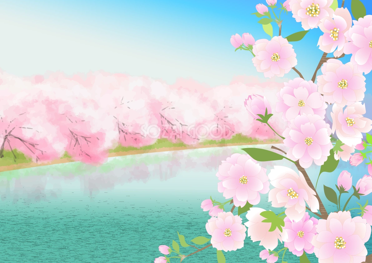 リアルな桜の木満開の湖の背景無料イラスト62437