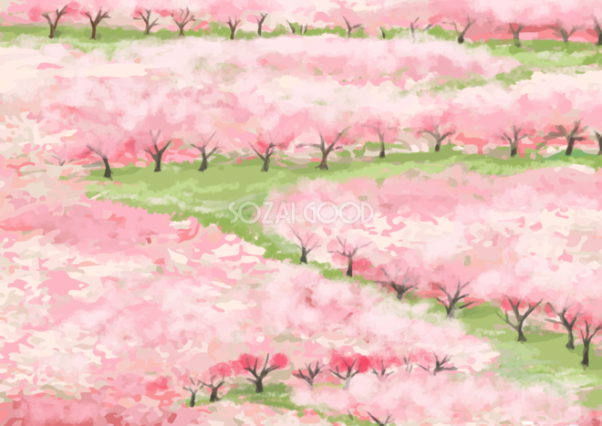 桜満開の山道の背景無料イラスト62441 素材good
