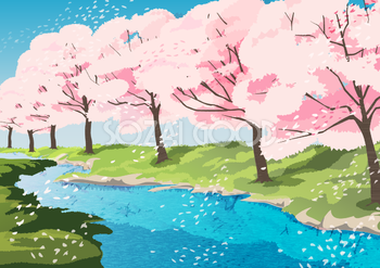 リアルな桜の木満開の川辺の背景無料イラスト62445