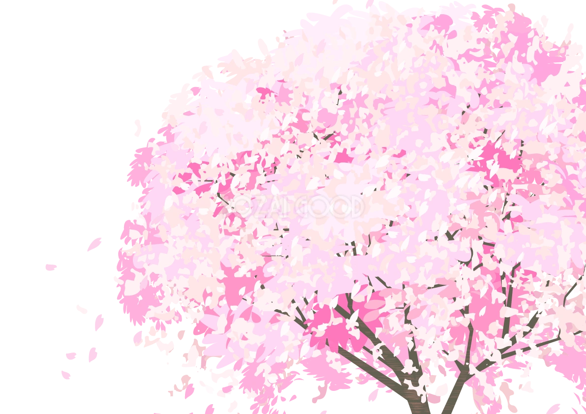 桜と花びらの背景透過イラスト(リアルな桜の木の背景なし木全体)62557