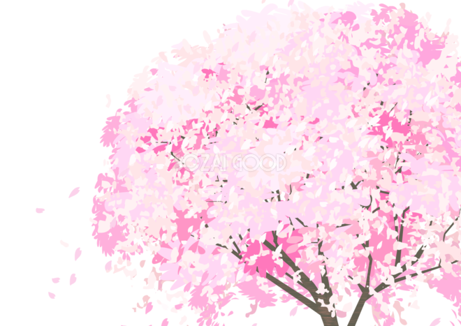 桜と花びらの背景透過イラスト リアルな桜の木の背景なし木全体 62557