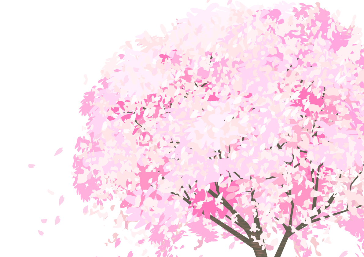 桜と花びらの背景透過イラスト(リアルな桜の木の背景なし木全体)62557に写真・文字を入れる