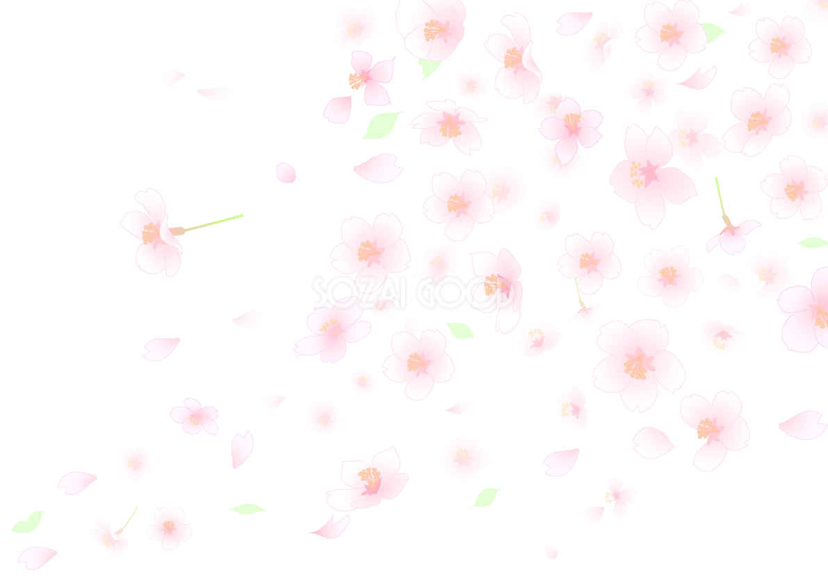 桜背景透過シンプルイラスト(花が躍動的に散る)62561
