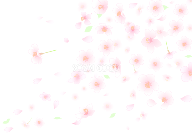 桜背景透過シンプルイラスト 花が躍動的に散る 素材good