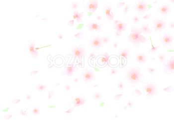 桜背景透過シンプルイラスト(花が躍動的に散る)62561