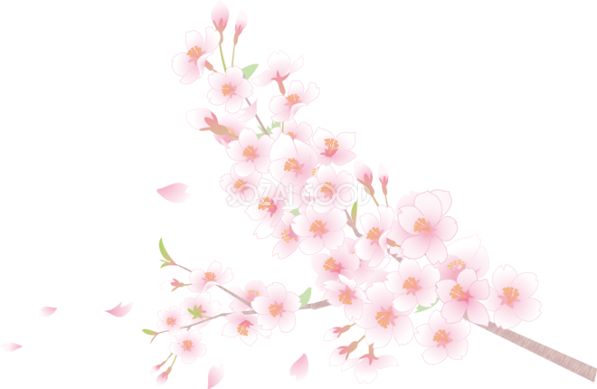 すべての動物の画像 ベスト50 桜 イラスト 透過