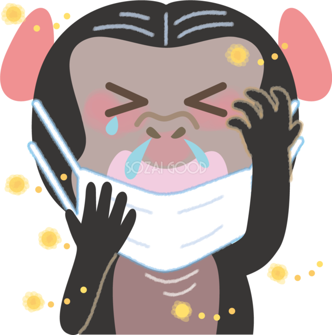 チンパンジーの花粉症 無料イラスト マスク くしゃみ 鼻水 目の痒み 素材good