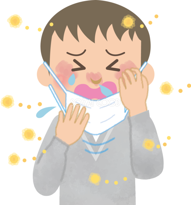 男の子 中学生 の花粉症 無料イラスト マスク くしゃみ 鼻水 目の痒み 素材good