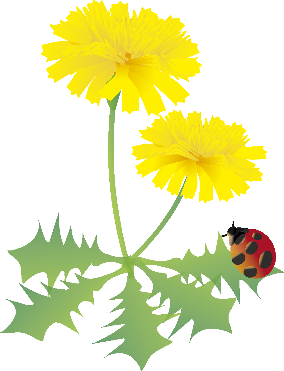 たんぽぽの花とてんとう虫の無料イラスト 春3~5月63537に写真・文字を入れる