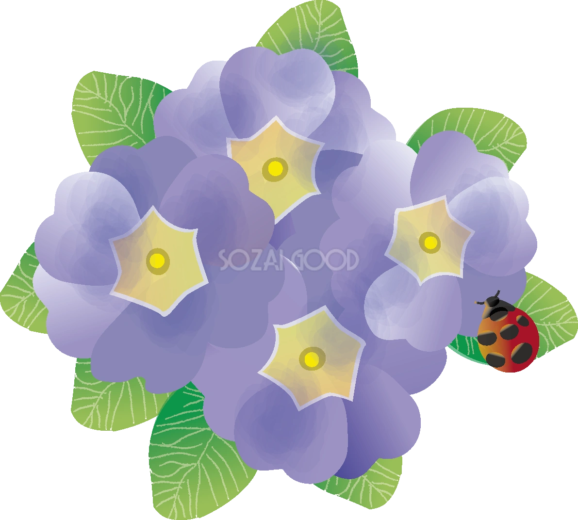 プリムラの花とてんとう虫の無料イラスト 冬12~5月63561