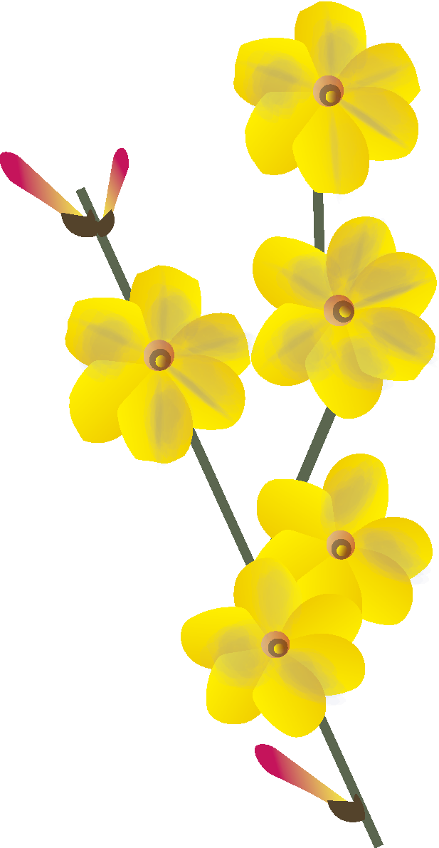 黄梅の花無料イラスト 冬1~3月63573に写真・文字を入れる