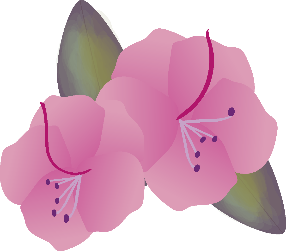 玄海躑躅(げんかいつつじ)の花無料イラスト 春3月63603に写真・文字を入れる