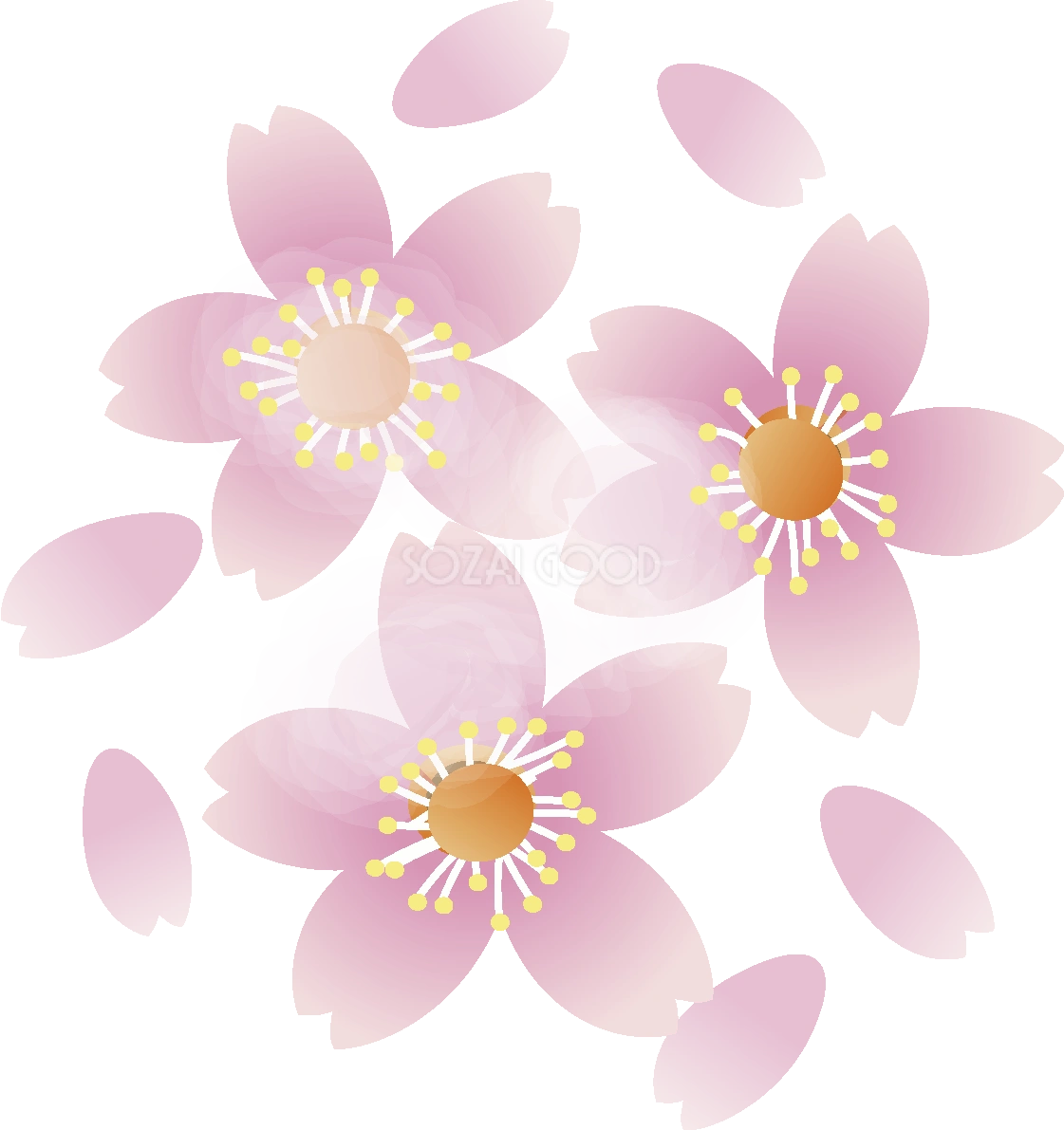 桜の花無料イラスト 春3~4月63611