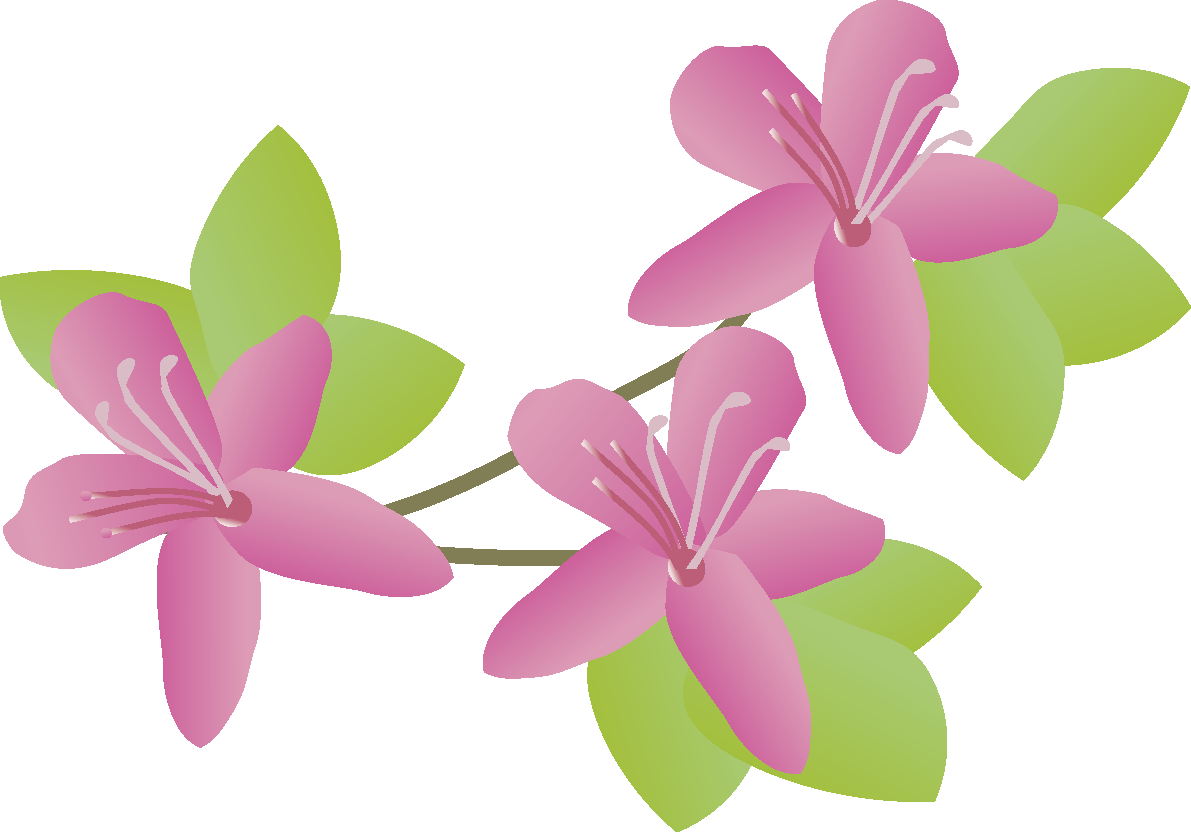 三葉躑躅(みつばつつじ)の花無料イラスト 春3~4月63619に写真・文字を入れる