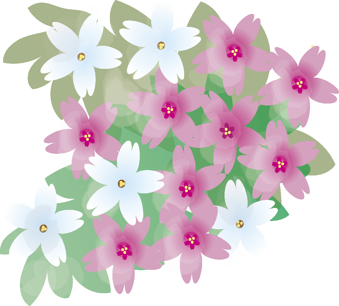 芝桜(しばざくら)の花無料イラスト 春3~4月63637に写真・文字を入れる