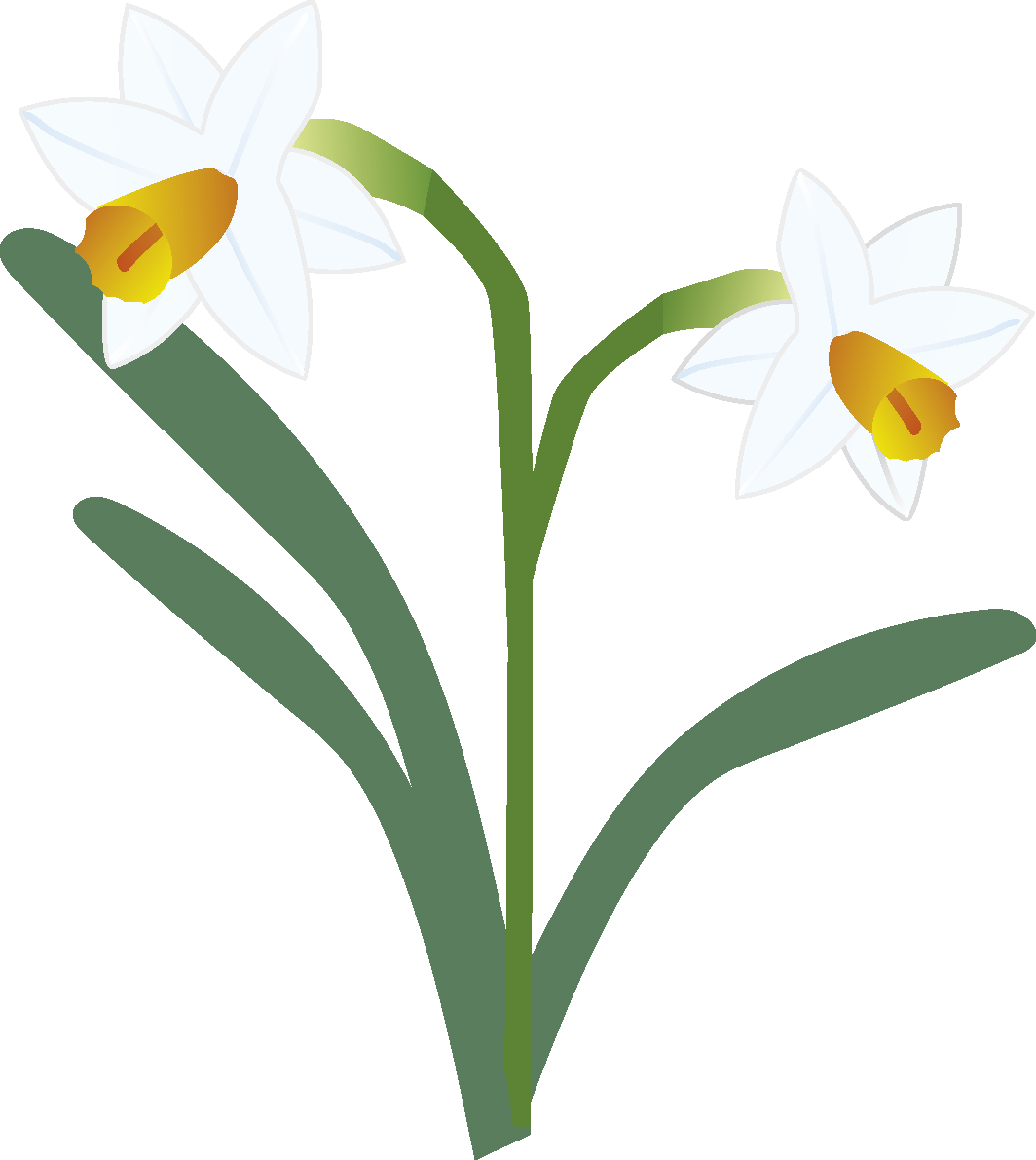 水仙(すいせん)の花無料イラスト 冬12~4月63653に写真・文字を入れる