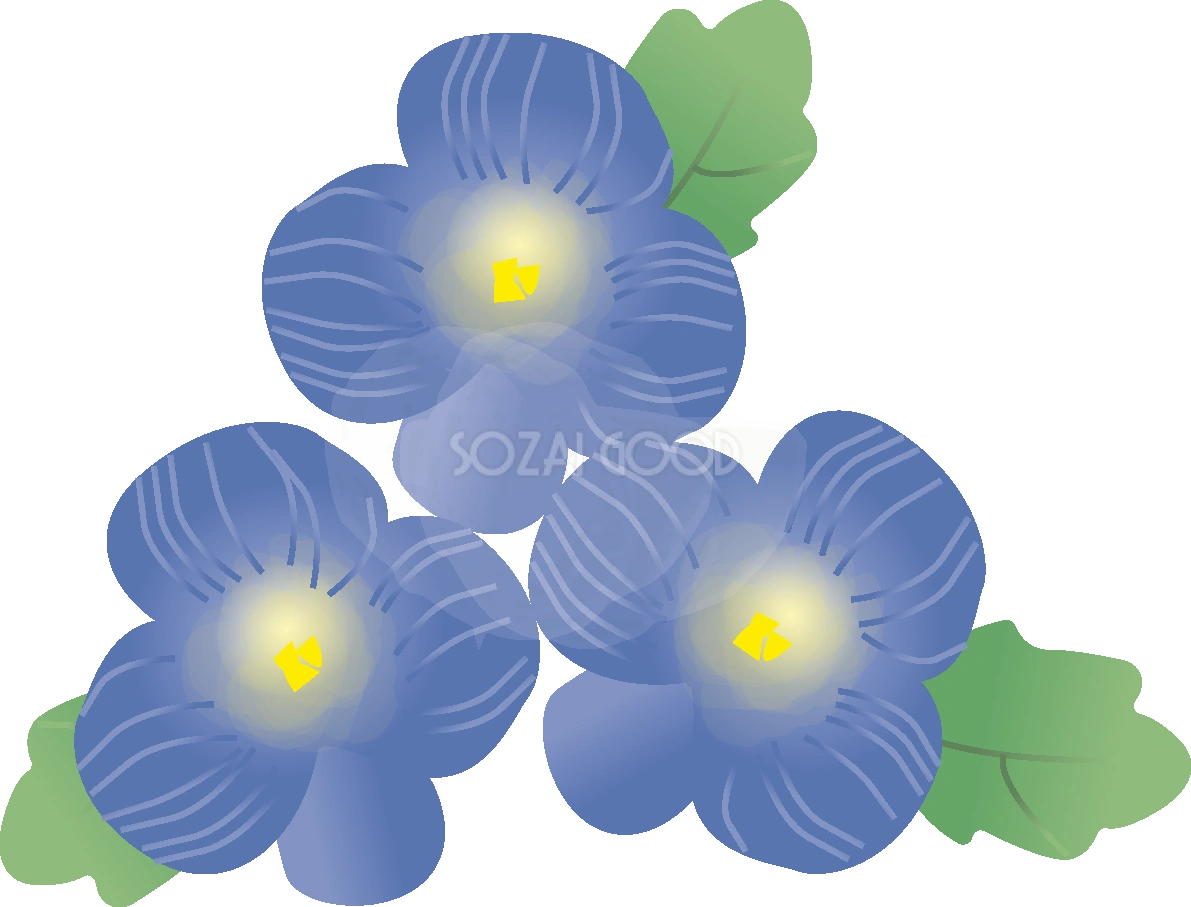大犬のフグリの花無料イラスト 冬~春2~4月63665