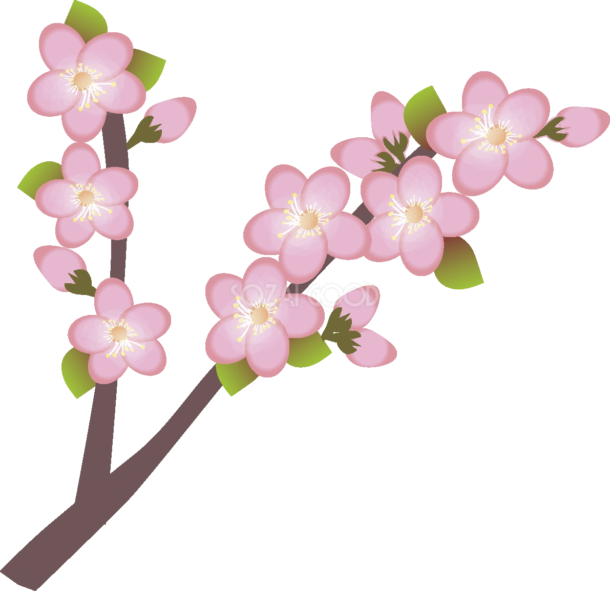 梅の花無料イラスト 春3~4月63677