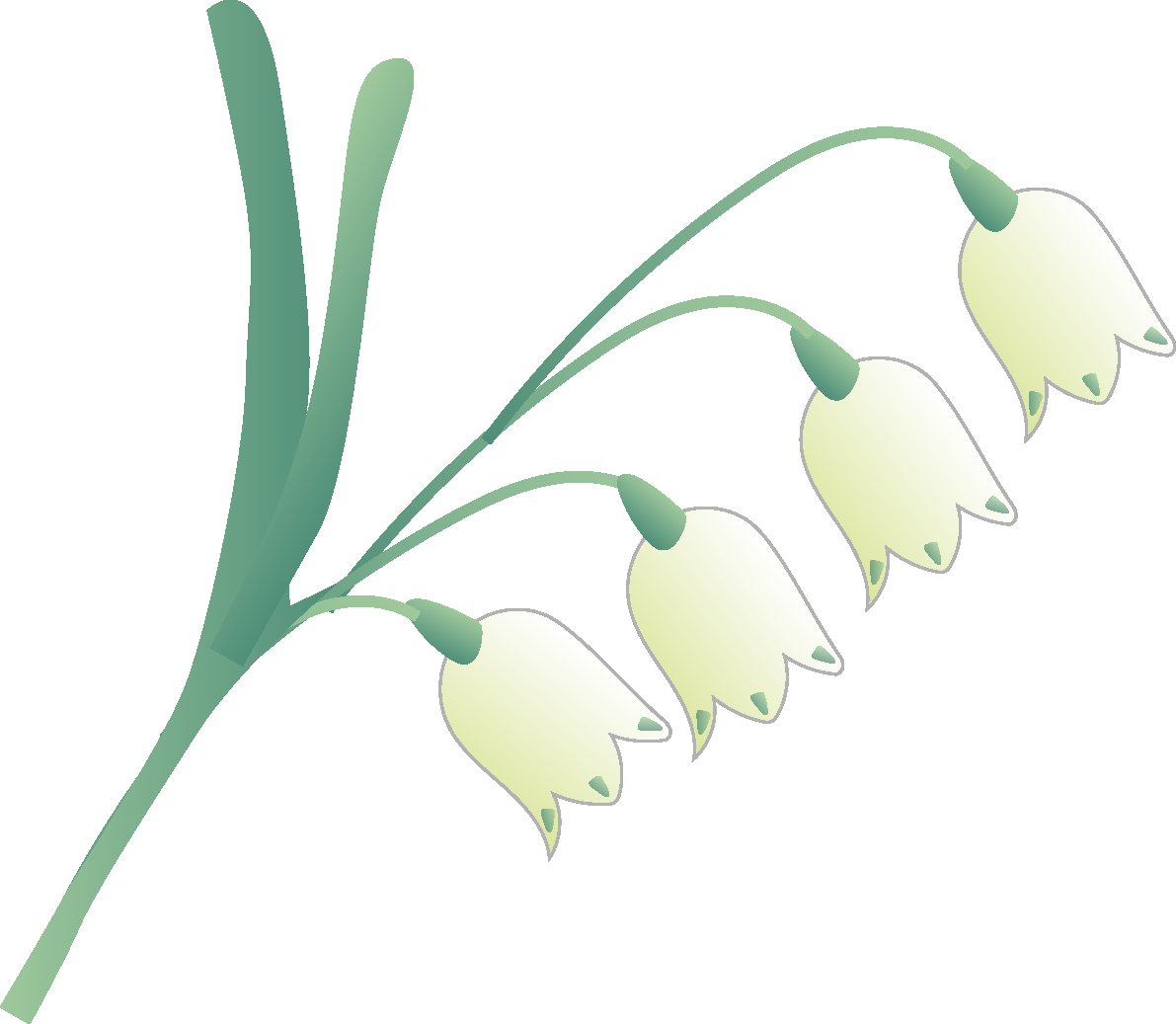 鈴蘭水仙の花無料イラスト 春3~4月63753に写真・文字を入れる