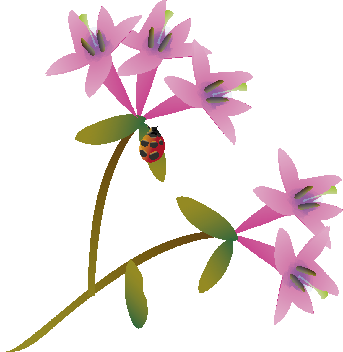 鶯神楽(うぐいすかぐら)の花無料イラスト 春3~4月63772に写真・文字を入れる