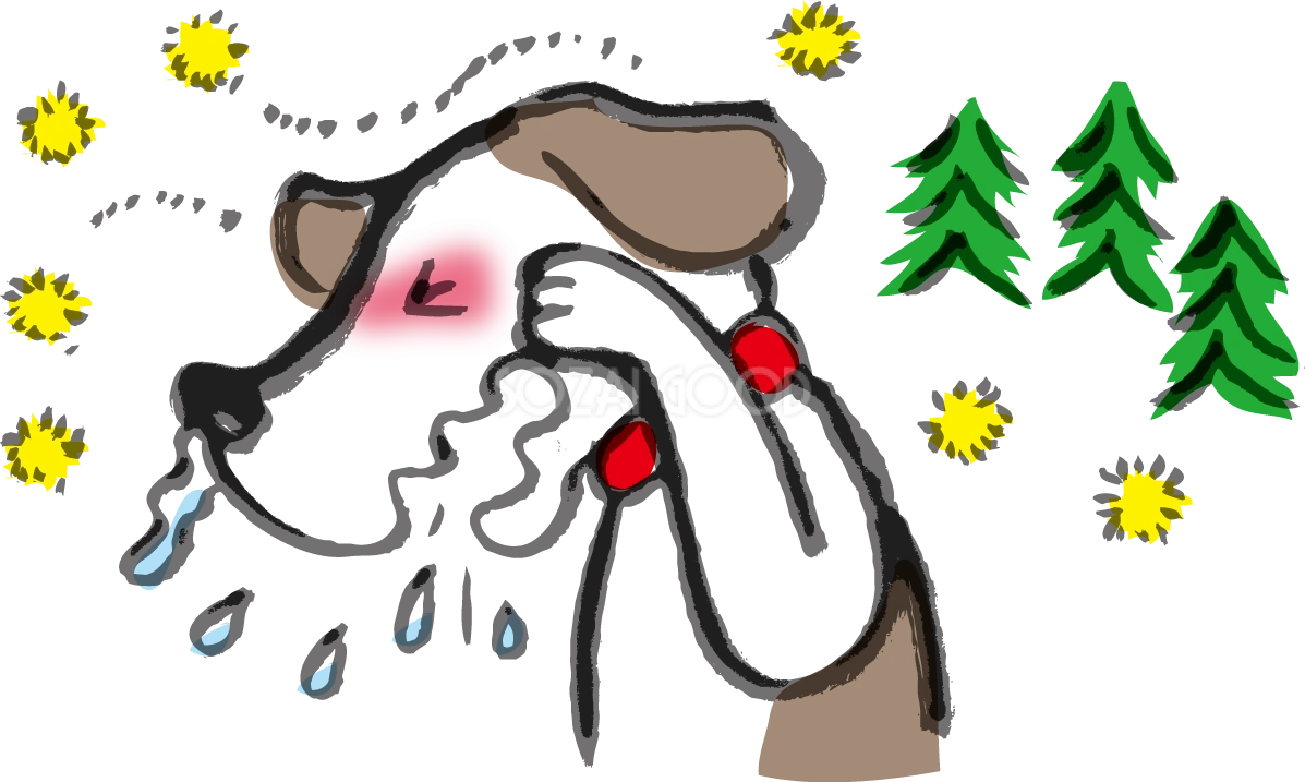 花粉症で辛そうにしている犬の無料イラスト63891