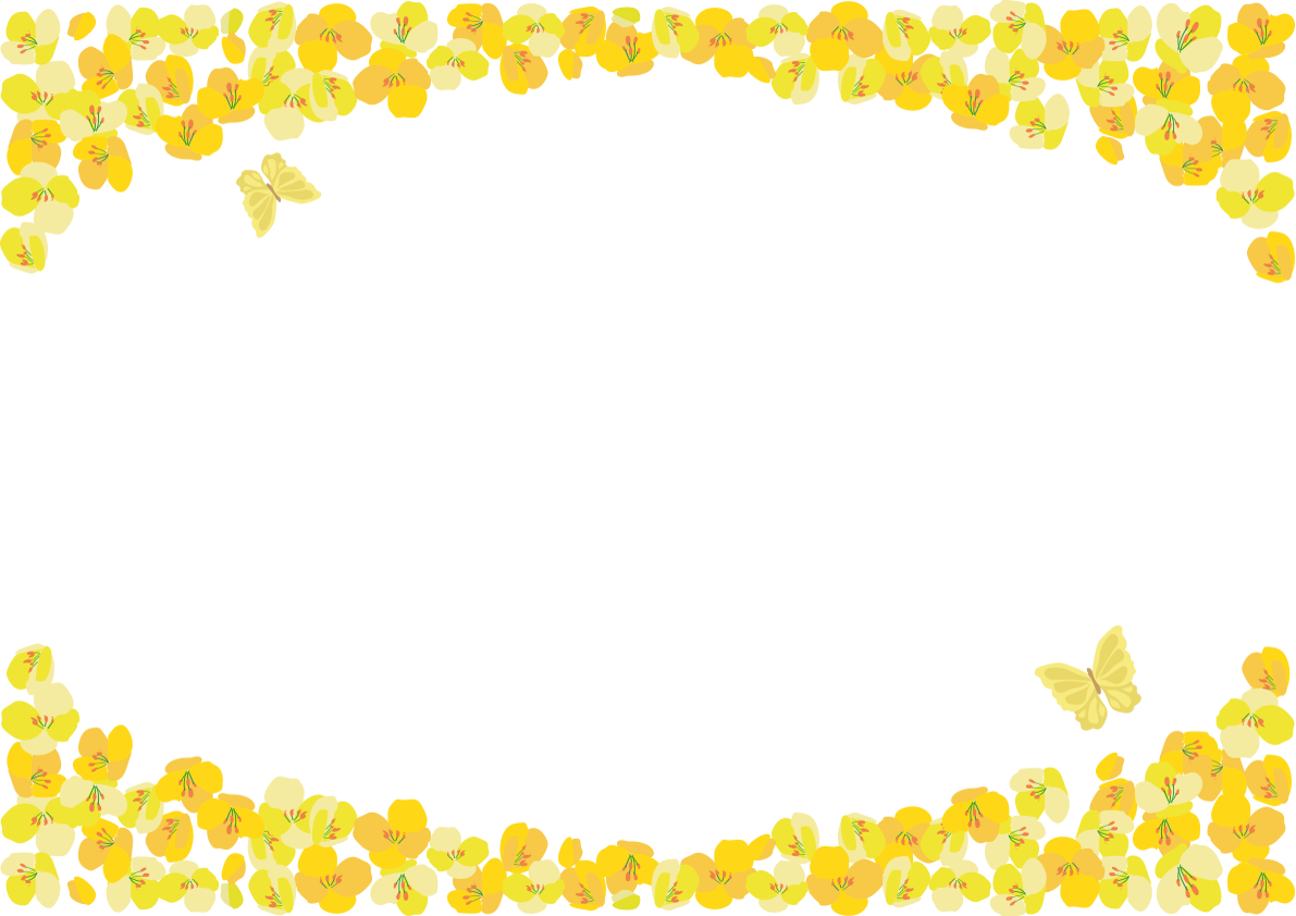 かわいい菜の花と黄色い蝶々フレーム飾り枠の無料イラスト64005に写真・文字を入れる