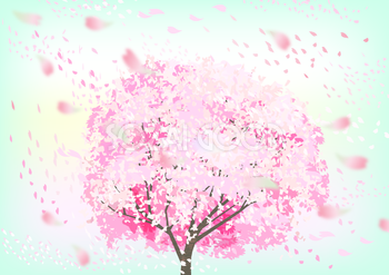 リアルな桜の木から舞う桜吹雪の背景無料イラスト64492