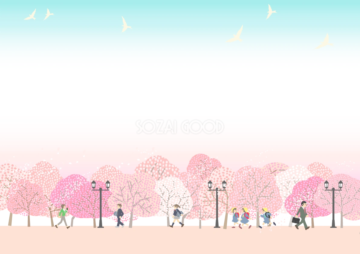 新しい学生服やスーツなどを着て桜咲く街路樹を歩く人64504
