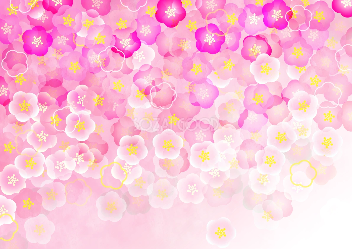 梅の花のおしゃれで綺麗な背景無料イラスト64512