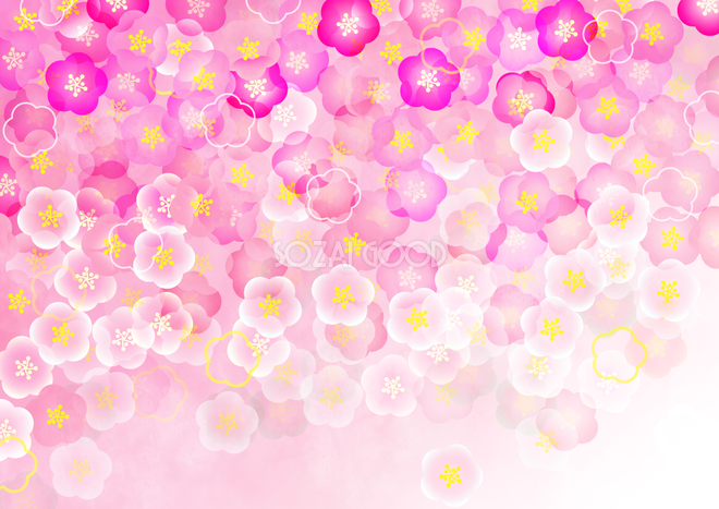 梅の花のおしゃれで綺麗な背景無料イラスト64512 素材good