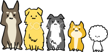 様々な犬種の犬が大きさ順に横向に並んだ2018(戌)無料イラスト65437