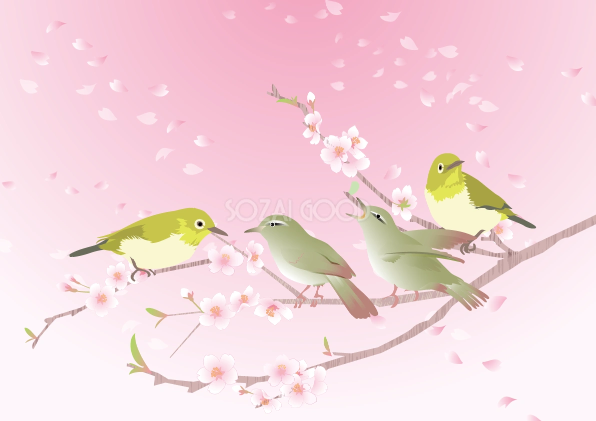 ウグイスとメジロの背景無料イラスト65562